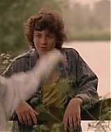291.jpg