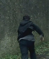 264.jpg