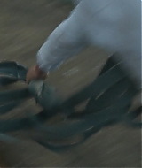 1034.jpg